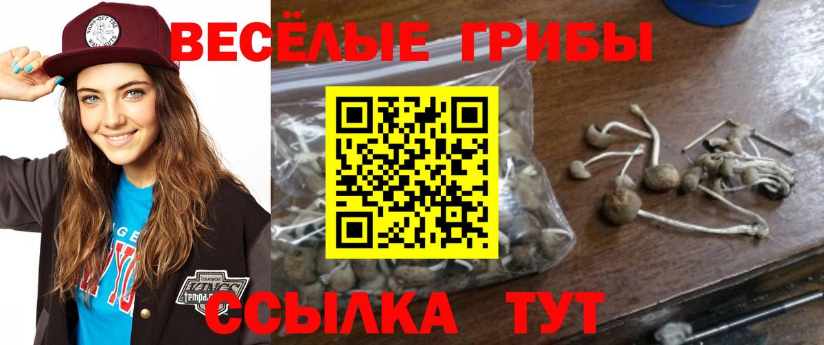 Галлюциногенные грибы Magic Shrooms  Вход с VPN  Галлюциногенные грибы Magic Shrooms  Аксай 